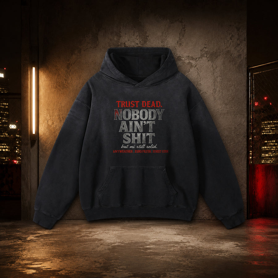 Nobody Ain’t Shit Sunfade Oversized Hoodie